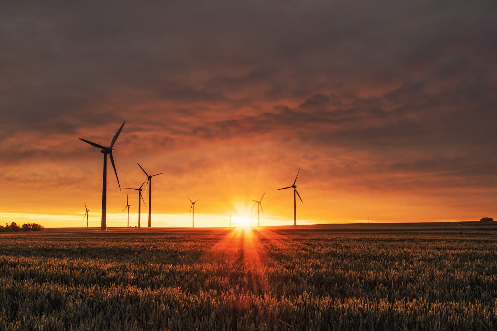 ESG Disclosures in Saudi Arabia & UAE: Transitioning from Voluntary CSR to Mandated Compliance